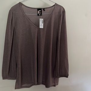 Silvery gold sheer top with shimmer